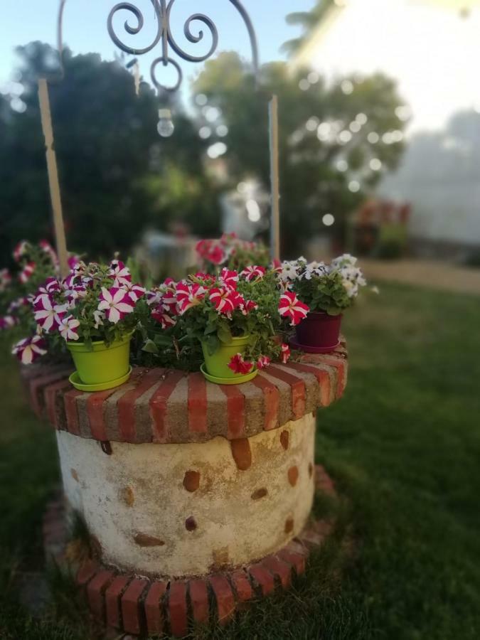 Villa Boleta A 5 Minutos De Leon, Casa Con Jardin San Andrés del Rabanedo Exterior foto