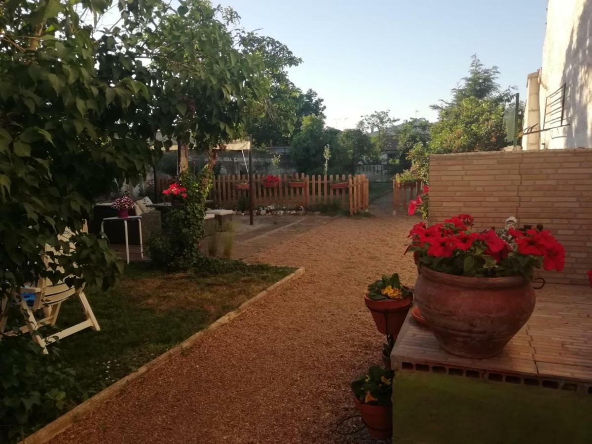 Villa Boleta A 5 Minutos De Leon, Casa Con Jardin San Andrés del Rabanedo Exterior foto